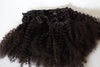 Afro Kinky Curly Clip-Ins