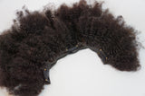 Kinky Coily 4d Curl Clip-In's